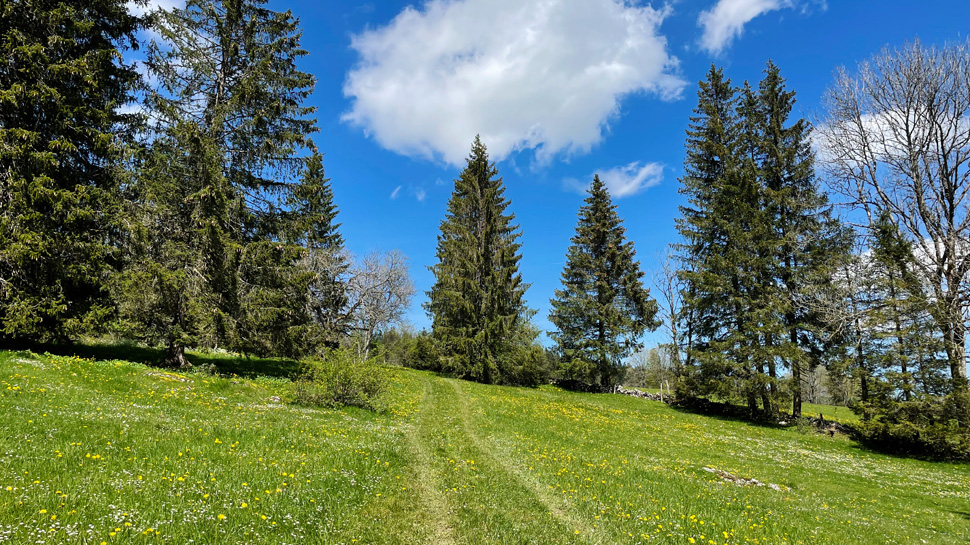 Wanderung von Le Noirmont nach Les Bois