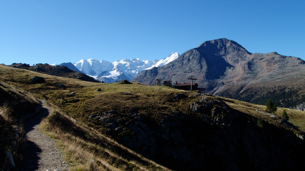 Panoramawanderung von der Alp Languard nach Muottas Muragl