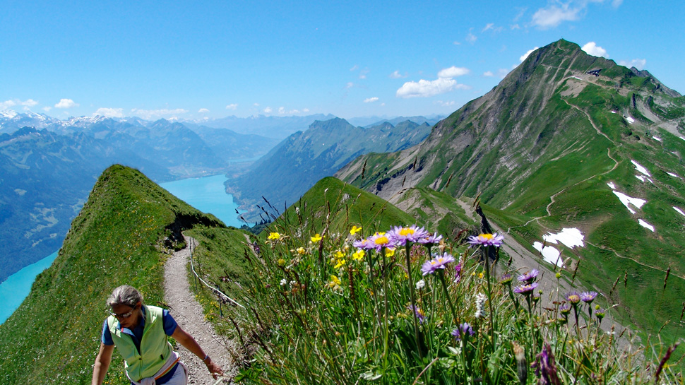 Panoramawanderung vom Brienzer Rothorn zum Brünigpass