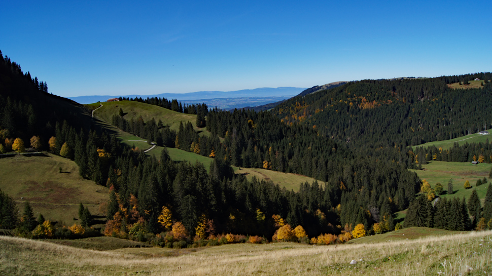 Panoramawanderung in Les Paccots
