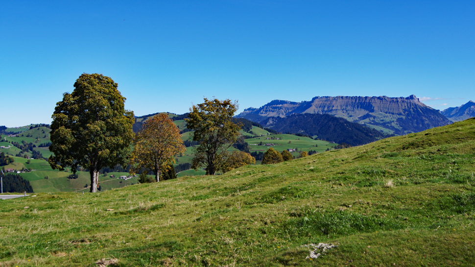 Panoramawanderung über den Schallenberg