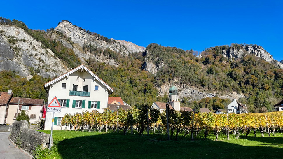 Rebenwanderung durch die Bündner Herrschaft