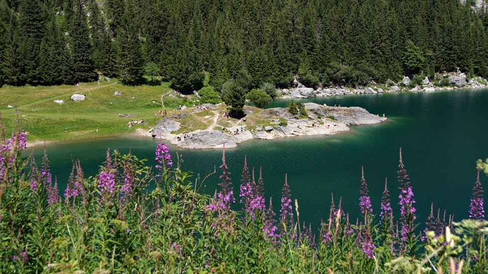 Rundwanderung zum Lac de Taney