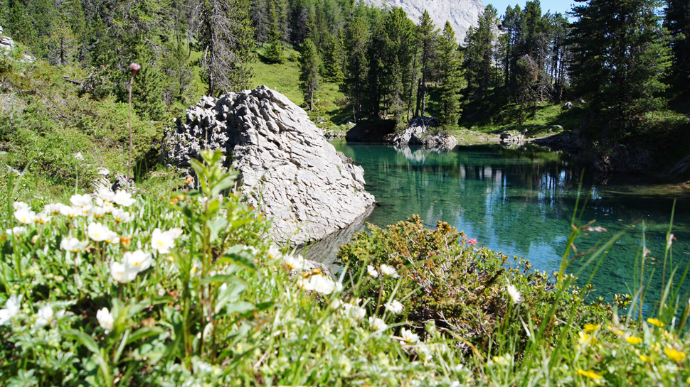 Rundwanderung zu den Arvenseeli und zum Schwarenbach