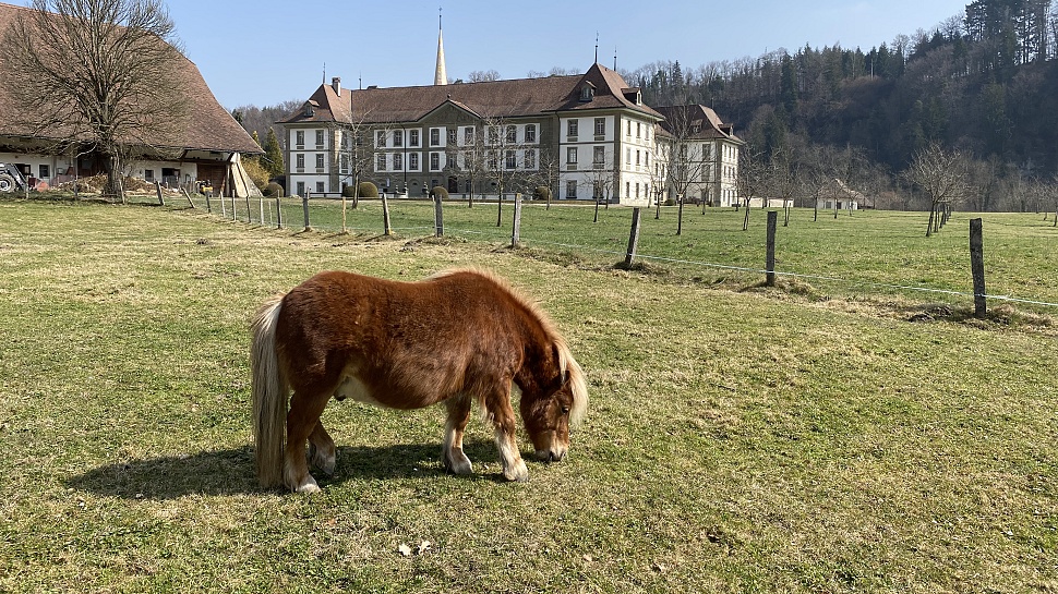 Die Uferwanderung führt von Posieux zum Kloster Hauterive und weiter bis nach Marly.