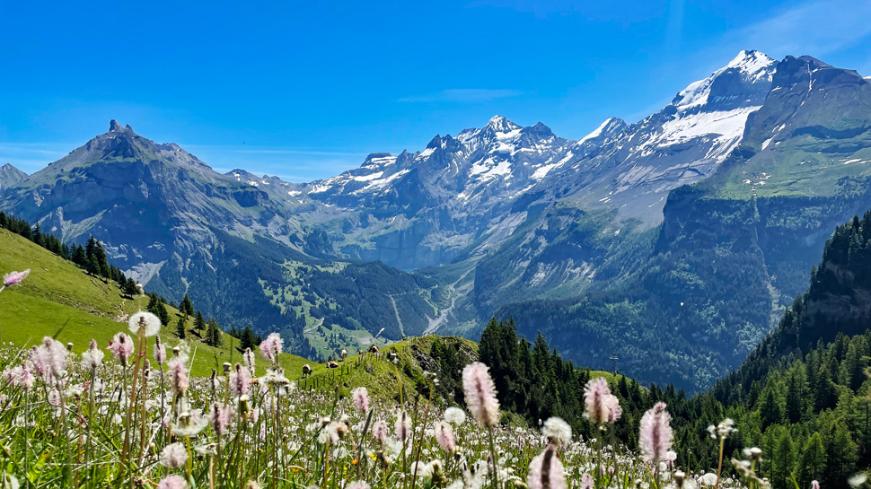 Wanderung von der Allmenalp hinunter nach Kandersteg