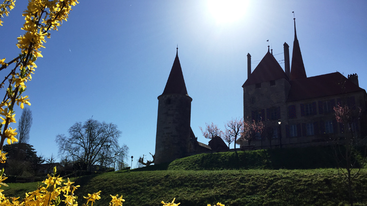 Die Wanderung startet in Avenches und führt auf schönen Wanderwegen bis nach Murten.
