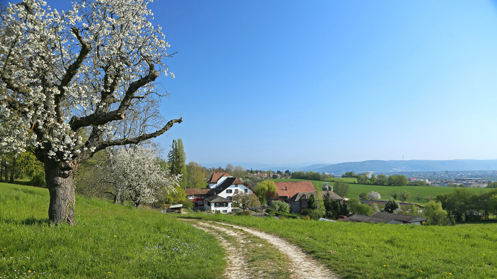 Die Wanderung führt vom Bruderholz bei Basel nach Münchenstein und ist im Frühling besonders reizvoll.