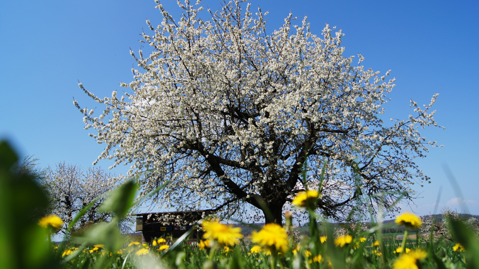 Wanderung von Flüh über den Blauenpass nach Mariastein