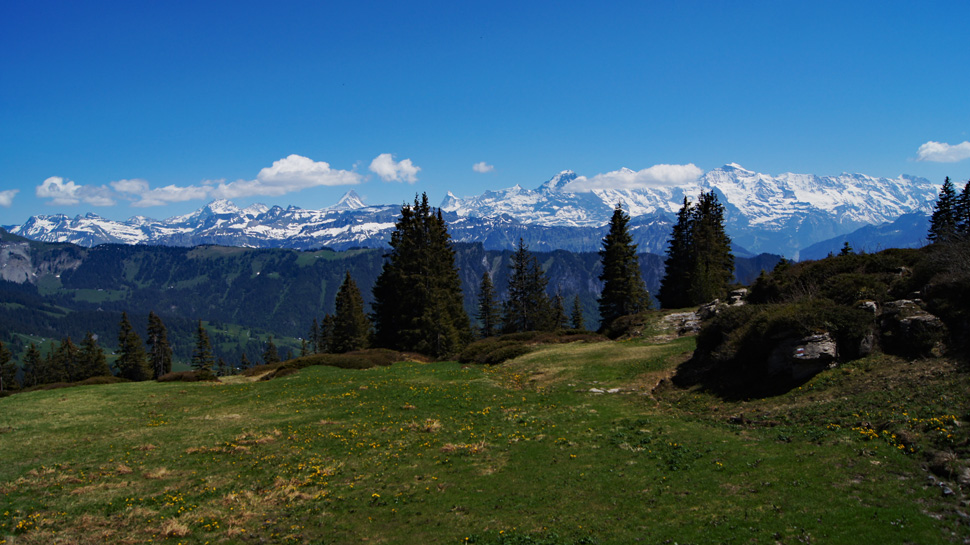 Bergwanderung von Habkern über den Grünenbergpass