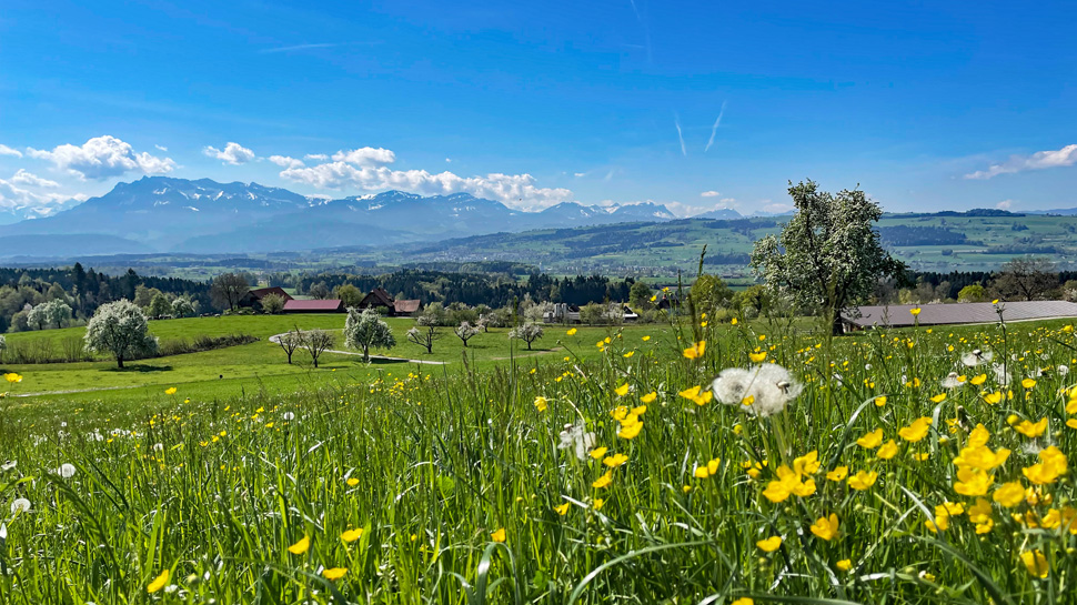 Die Wanderung führt von Hildisrieden nach Sempach und bietet ein wundervolles Panorama.