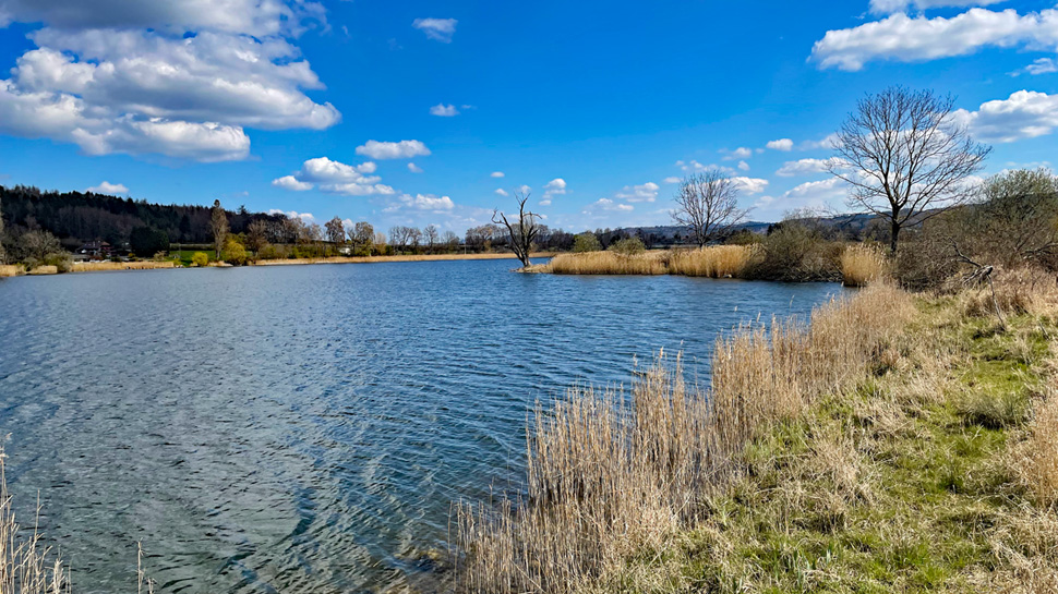 Der Moossee ist auf der Wanderung von Jegenstorf nach Zollikofen das Highlight.