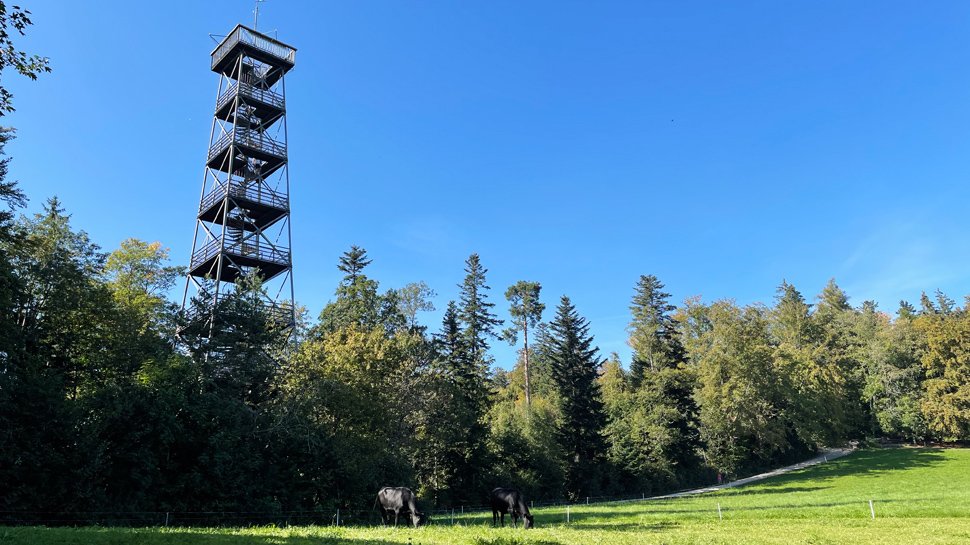 Wanderung durchs Küsnachter Tobel zum Pfannenstielturm