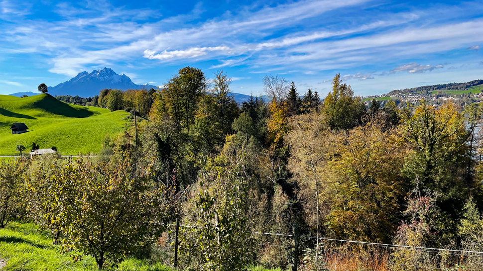 Wanderung von Küssnacht am Rigi nach Hertenstein