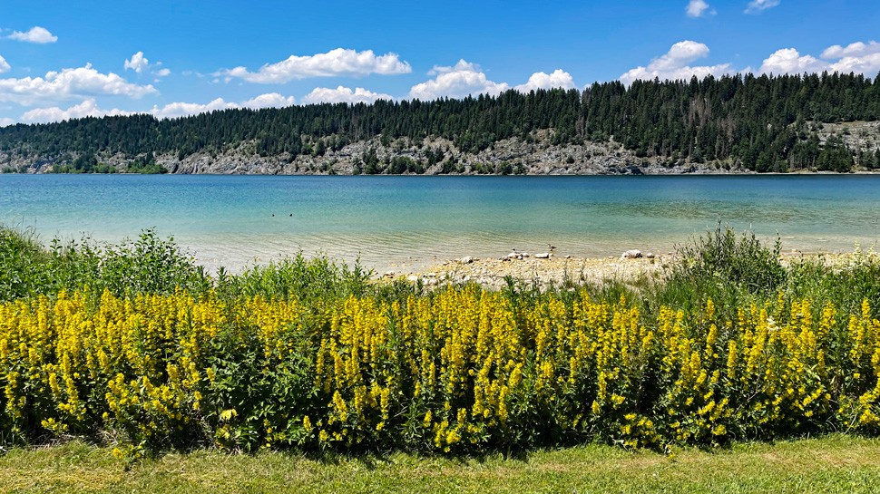 Die Rundwanderung startet und endet in La Pont und führt im letzten Abschnitt dem Ufer des Lac de Joux entlang.