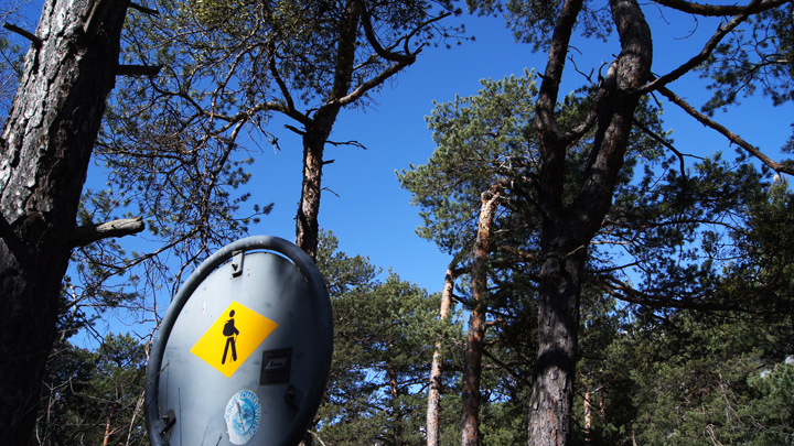 Die Wanderung führt von Leuk durch den Pfynwald bis nach Sierre.
