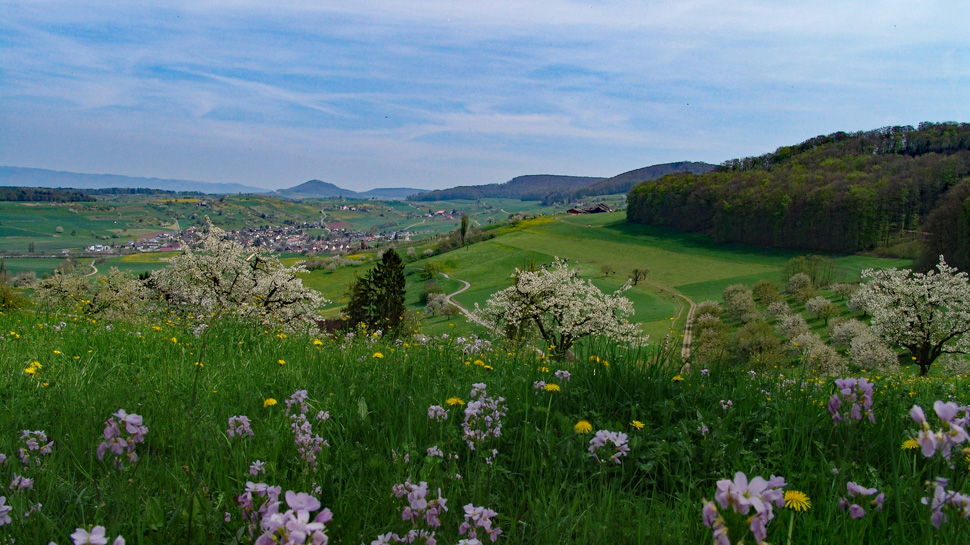 Wanderung von Liestal nach Augusta Raurica