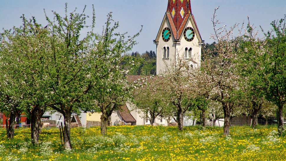 Die reizvolle Wanderung führt von Märstetten durch Obstplantagen bis nach Münchwilen.