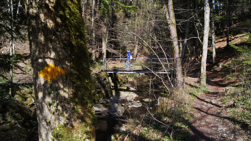 Die Wanderung führt durchs wildromantische Chaltbrunnental und endet in Laufen.