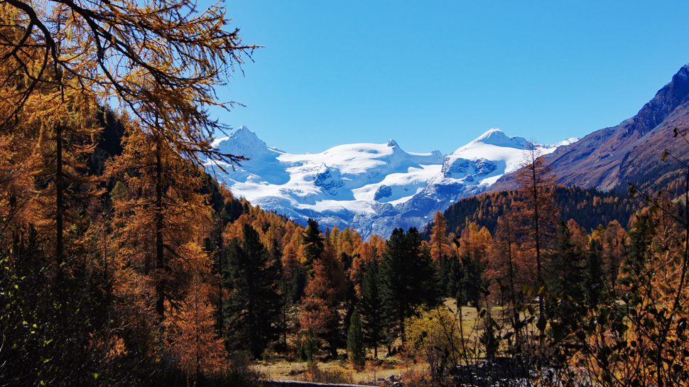 Wanderung von Pontresina ins Val Roseg