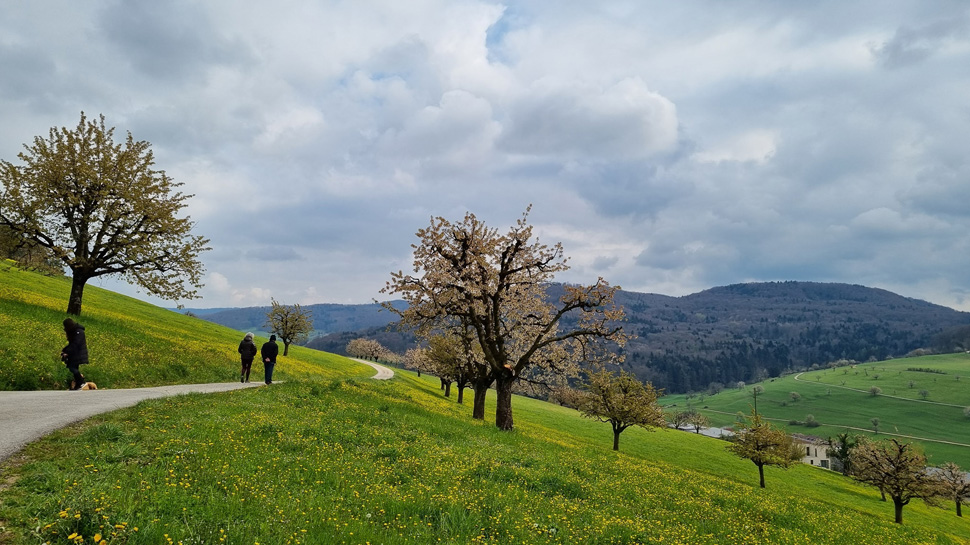 Wanderung von Rheinfelden nach Zuzgen