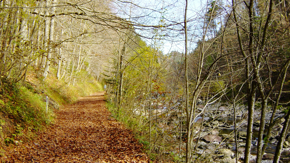 Wanderung von Richterswil nach Sihlbrugg