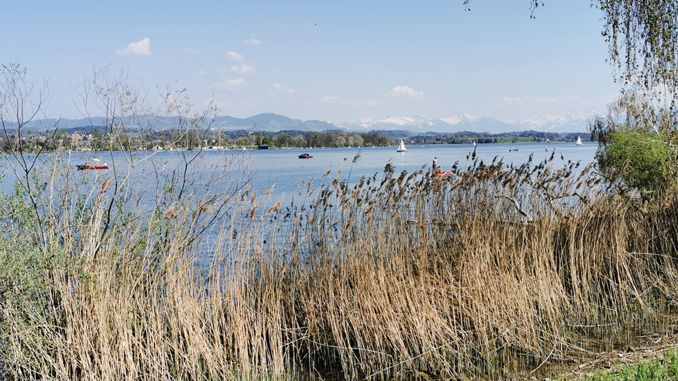 Die Wanderung führt einmal rund um den Greifensee und bietet viele schöne Ausblicke.