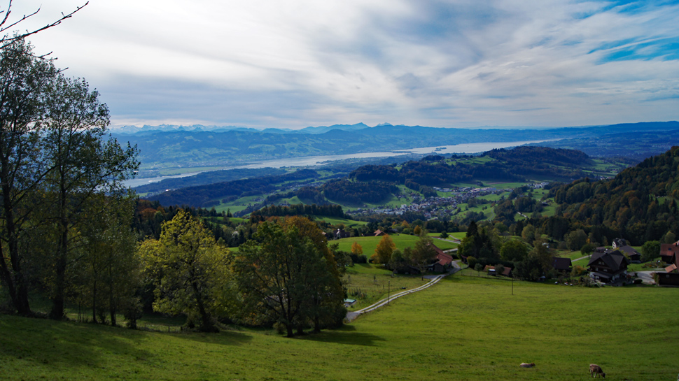 Wanderung von Wald auf den Chrinenberg