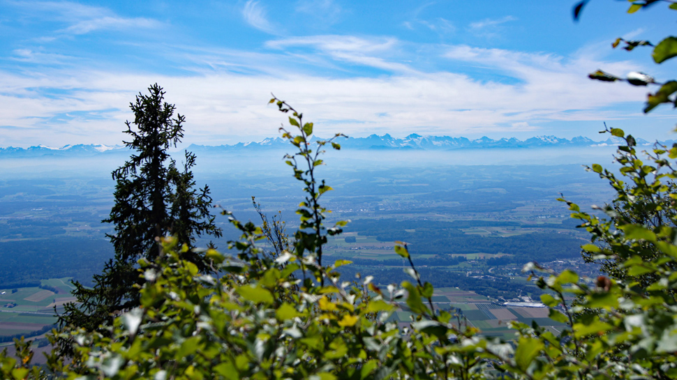 Wanderung von Wolfisberg aufs Hällchöpfli
