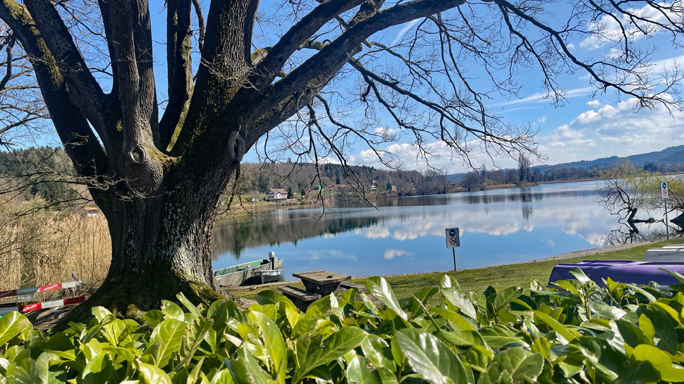 Von der Terrasse des Restaurants Seerose geniesst man einen herrlichen Blick auf den Moossee.