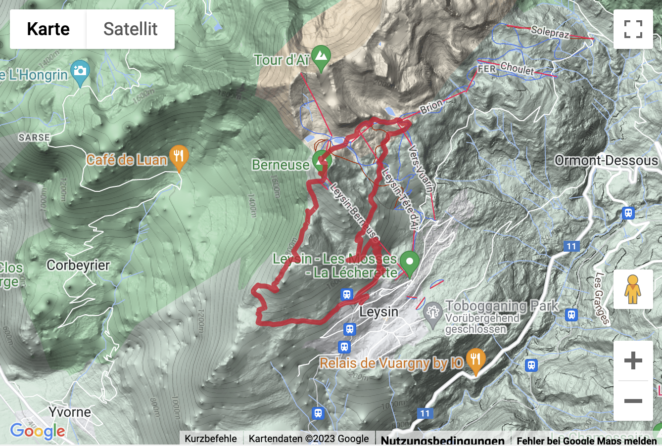 Google-Karte mit aufgezeichneter Route