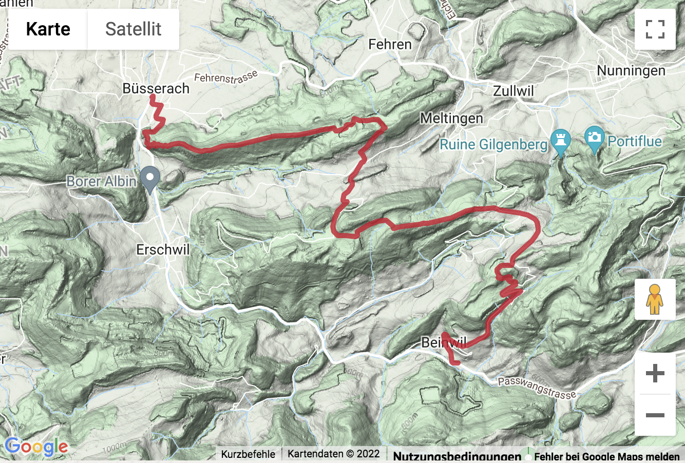 Carte Google avec l'itinéraire