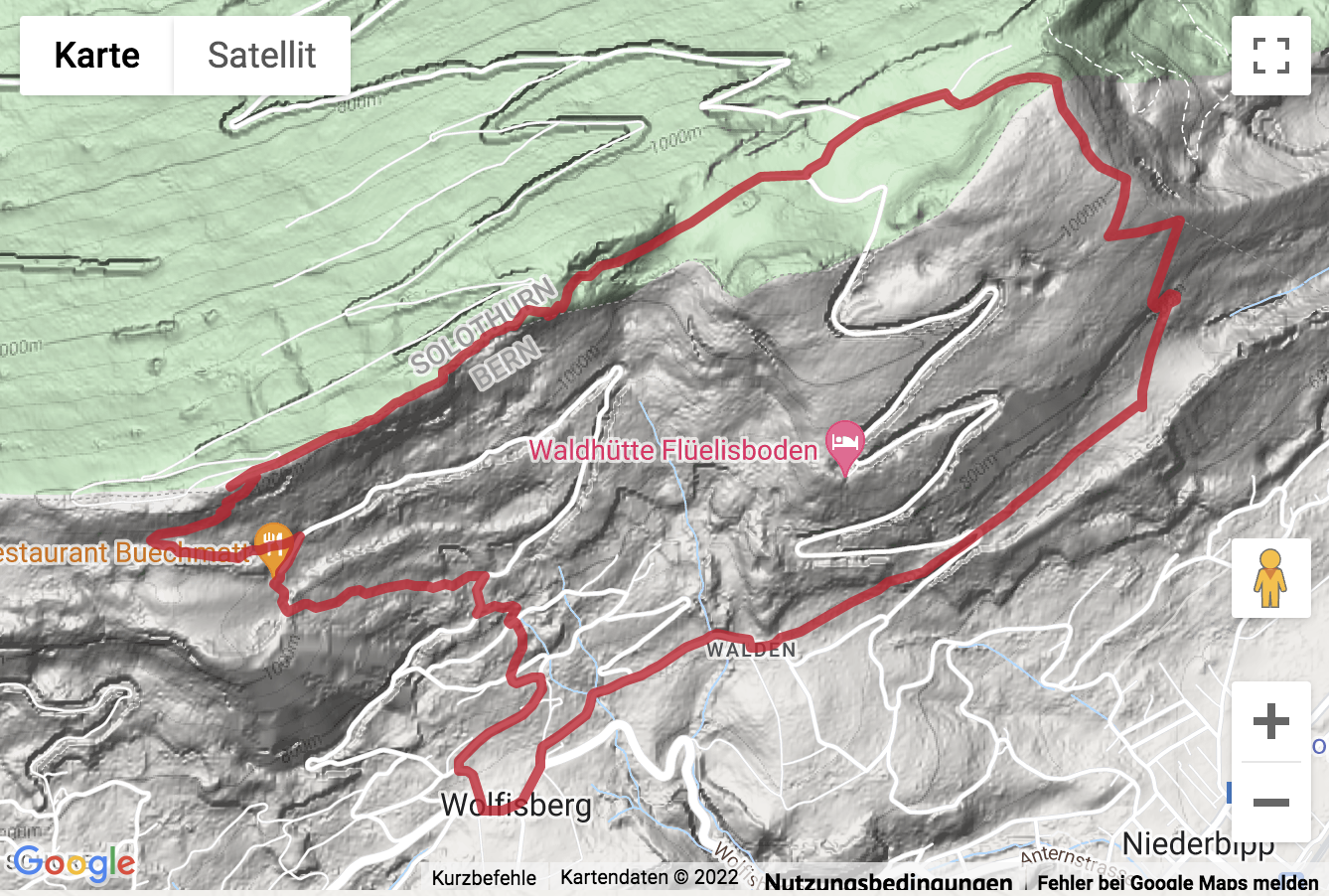 Google-Karte mit aufgezeichneter Route