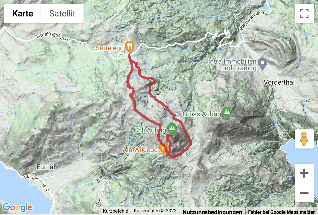 Google-Karte mit aufgezeichneter Route