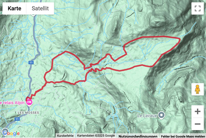 Google-Karte mit aufgezeichneter Route