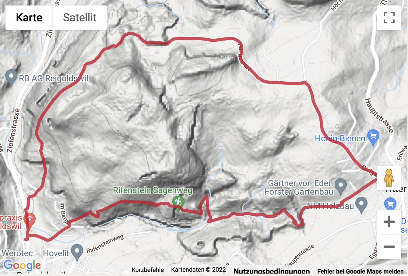 Google-Karte mit aufgezeichneter Route