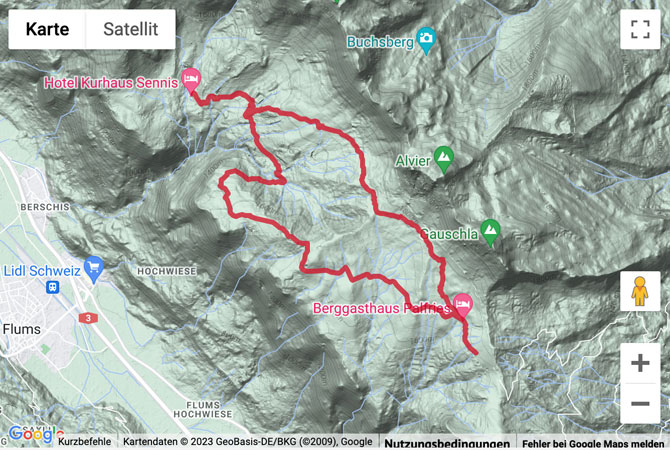 Google-Karte mit aufgezeichneter Route