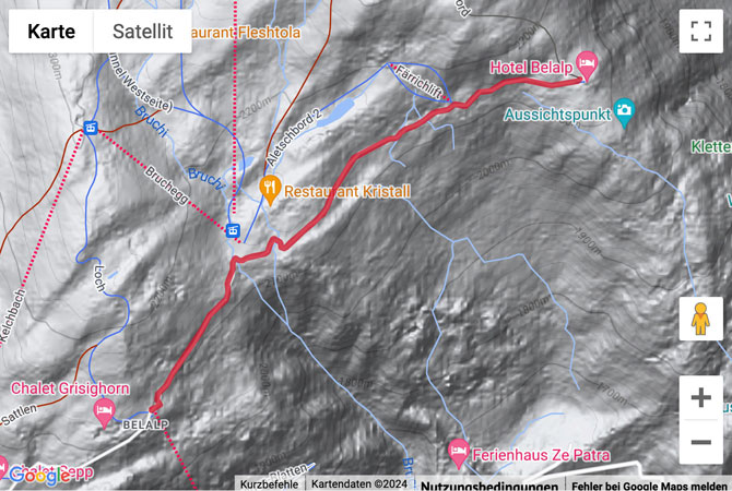 Google-Karte mit aufgezeichneter Route