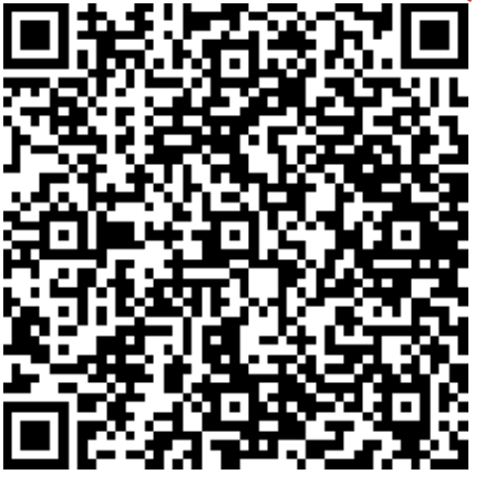 qr_code_alttext Winterwanderung im Val Lumnezia