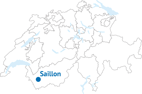 Geografische Lage von Saillon