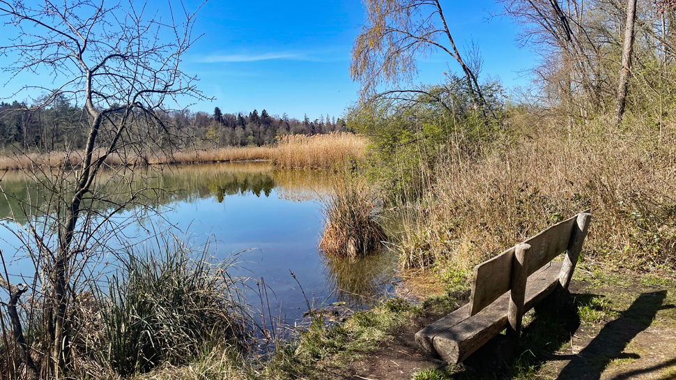 Rings um den Husemersee laden Ruhebänke zum Verweilen.